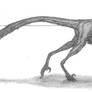 Buitreraptor gonzalezorum