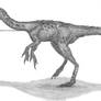 Guanlong wucaii