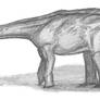 Nigersaurus taqueti I