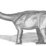 Nigersaurus taqueti II
