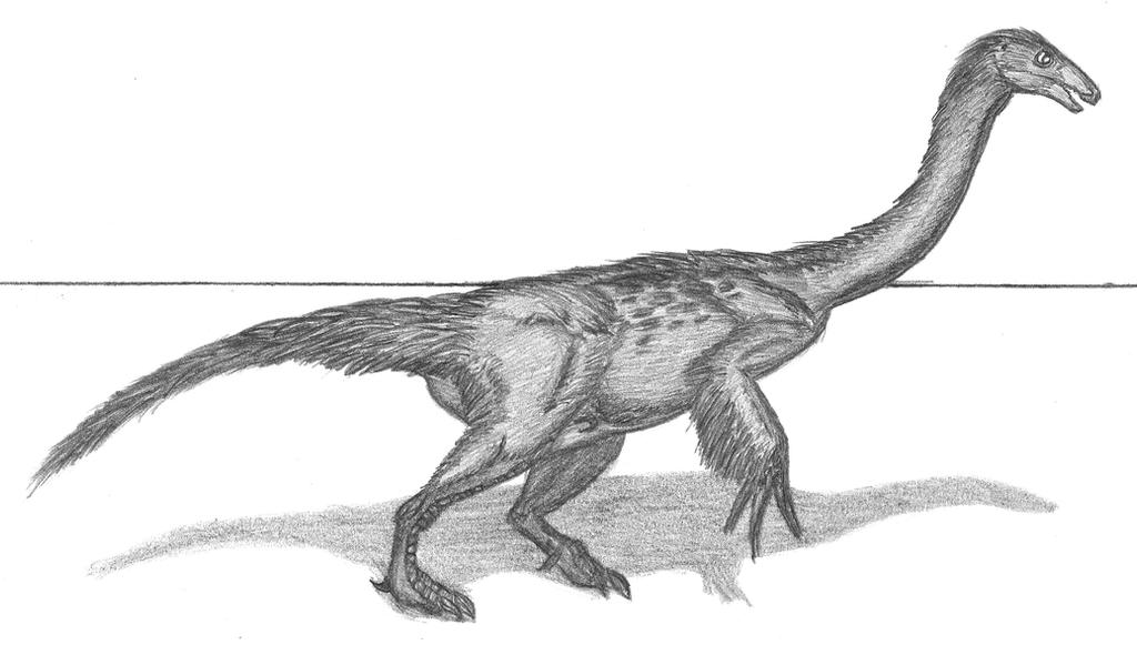 Nothronychus mckinleyi