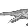 Rhomaleosaurus cramptoni
