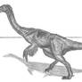 Neimongosaurus yangi
