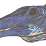 Quaesitosaurus orientalis