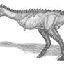 Aucasaurus garridoi II
