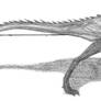 Deltadromeus agilis