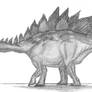 Stegosaurus stenops
