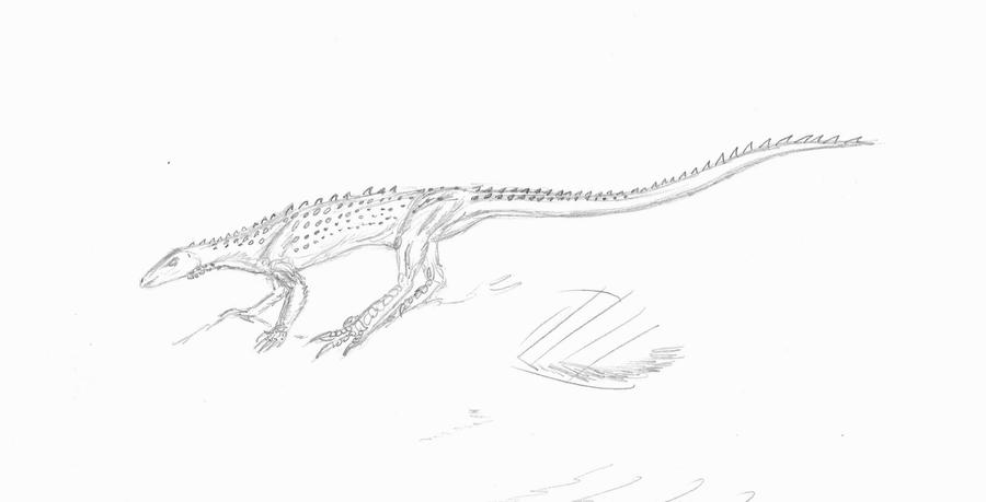 Scutellosaurus sketch