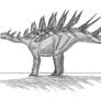 Kentrosaurus aethiopicus II