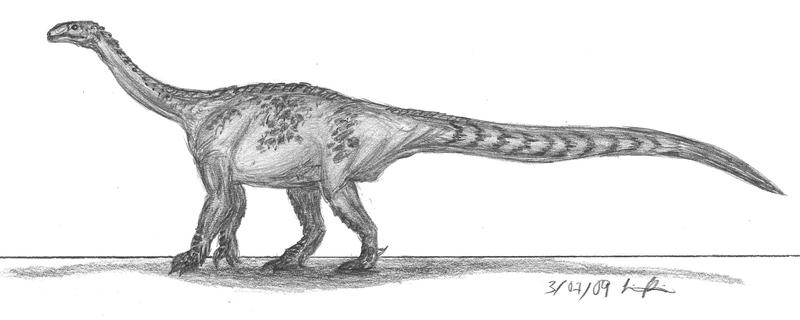 Riojasaurus incertus by EmperorDinobot