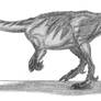 Massospondylus carinatus