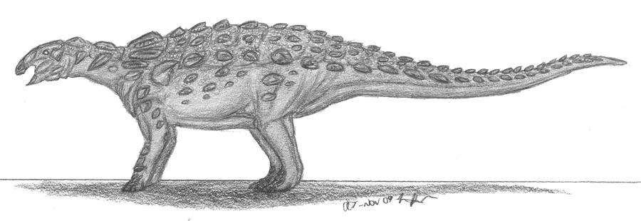 Panoplosaurus mirus