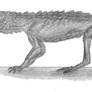 Orthosuchus strombergi