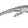 Geosaurus sp.