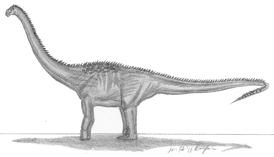 Puertasaurus reuili