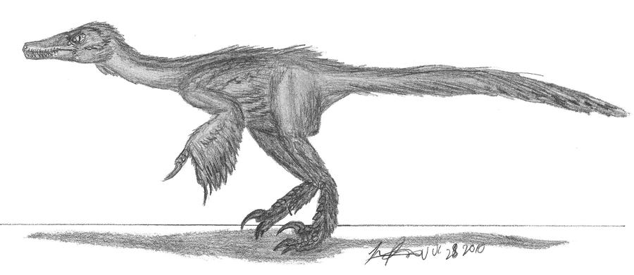 Linheraptor exquisitus by EmperorDinobot on DeviantArt