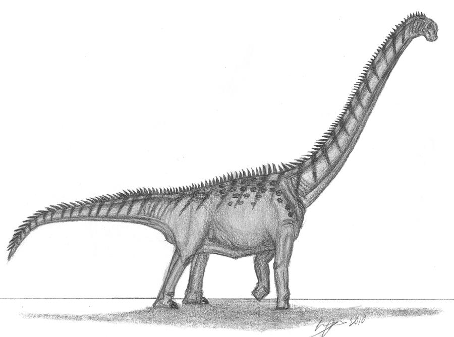 Futalognkosaurus dukei by EmperorDinobot