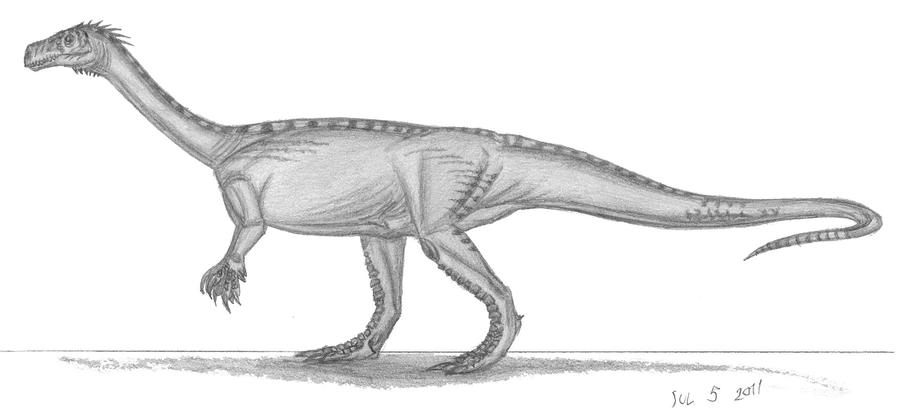 Unaysaurus tolentinoi