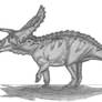 Torosaurus latus