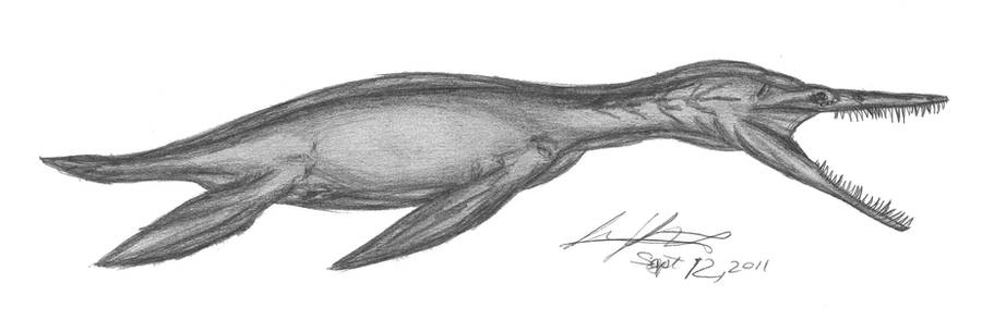 Dolichorhynchops osborni by EmperorDinobot