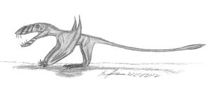 Dimorphodon macronyx