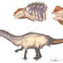 Apatosaurus louisae