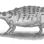 Talarurus plicatospineus