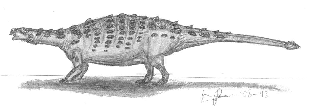 Talarurus plicatospineus