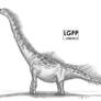 Brachiosaurus altithorax