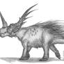 Styracosaurus albertensis