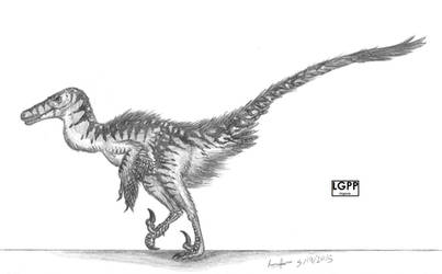 Velociraptor mongoliensis