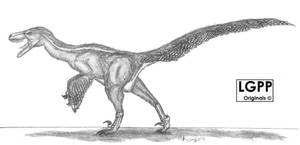 Dromaeosaurus albertensis