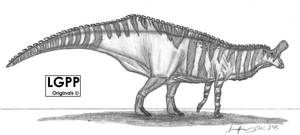 Tsintaosaurus spinorhinus