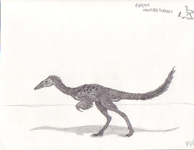 Rapator ornitholestoides by EmperorDinobot
