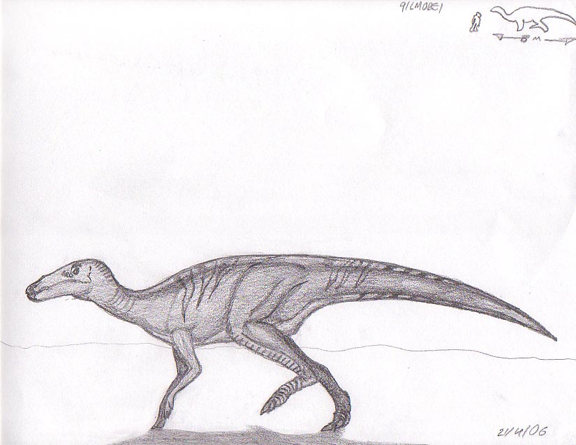 Shuangmiaosaurus gilmorei