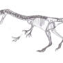 Noasaurus leali skeletal