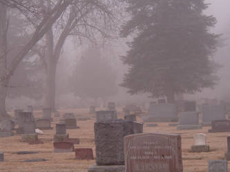 Foggy Graveyard 3 :stock: