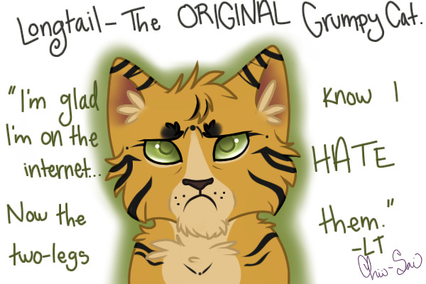 Longtail- The ORIGINAL Grumpy Cat