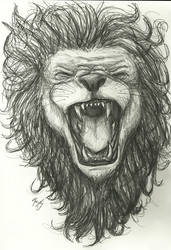 Commission- Lion Sketch