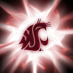 WSU Cougars