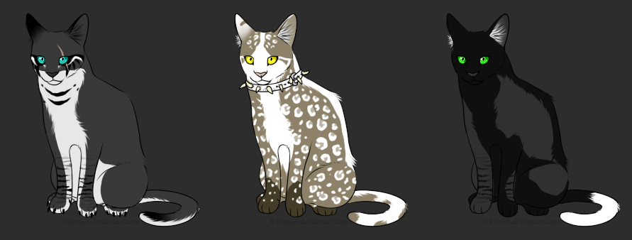 WarriorCats_Adoptables