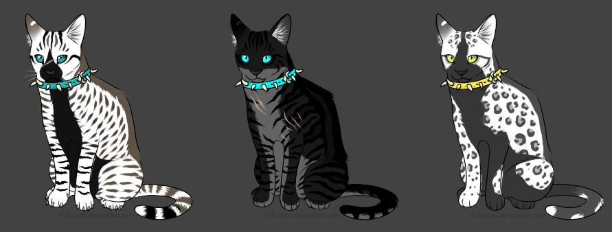 WarriorCats_Adoptables