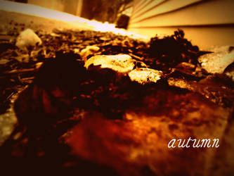 .Autumn.