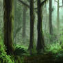 Environment 029 - Rainforest