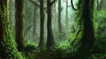 Environment 029 - Rainforest
