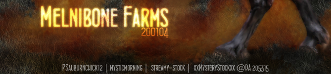 Melniborn Farms Banner 1