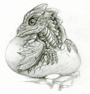 Study: Windstone Dragon Hatchling