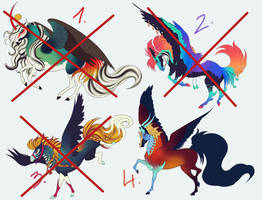 Pheasant Pegasus Adopts