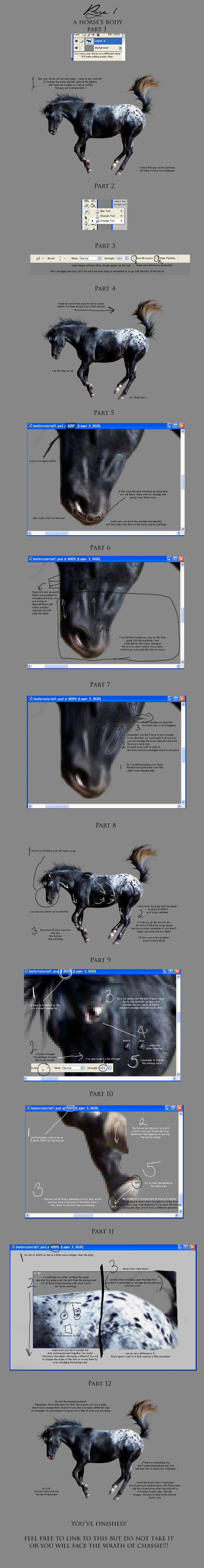 Tutorial Page 1 - Horse Body