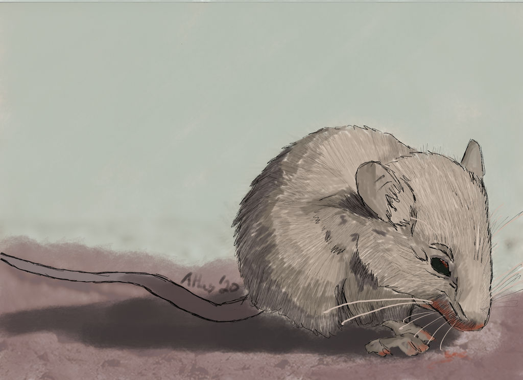 Rat Catcher by Hyper-Aggie42 on DeviantArt